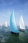 regata regata