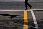 Walk on Walk on
