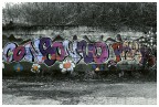 Consonno Consonno