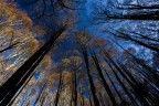 questo autunno questo autunno