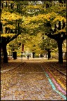 CAOS d'autunno CAOS d'autunno