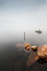 the fog the fog
