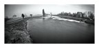 anche un solo capello ha la sua ombra... ;/) pinhole