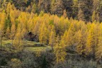 Autunno Autunno