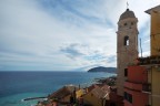 Cervo Cervo
