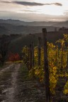 autunno nelle Langhe 3