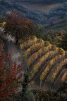 autunno nelle Langhe 4