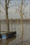 ARW 5048 ARW 5048