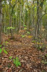 autunno a Cingoli autunno a Cingoli