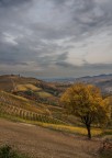autunno nelle Langhe 5