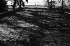 Fondo bianco Fondo bianco