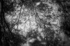 Riflessi Riflessi