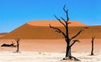 Dead vlei