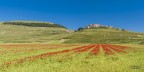 Castelluccio di Norcia Castelluccio di Norcia