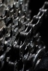 Contest 84 - Macro senza insetti Contest 84 - Macro senza insetti