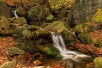 Autunno Autunno
