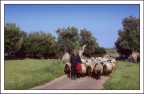 Salento Salento