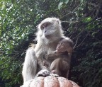 Madre e figlio Madre e figlio