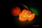 Citrus reticulata Citrus reticulata