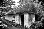 Thatched hut