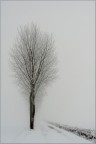 Di neve...e nebbia Di neve...e nebbia