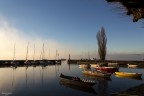 Alba Nebbia al Porto Alba Nebbia al Porto