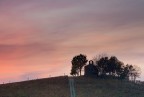 Preghiera tra i vigneti
