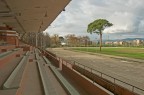 Scalinate e pino Scalinate e pino