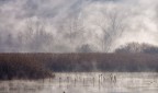 Nebbie invernali Nebbie invernali