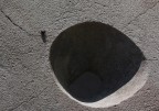 scarafaggio scarafaggio
