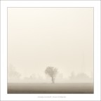 Inverno trasfigurato