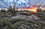 salento salento
