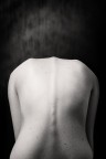 Dark Dark