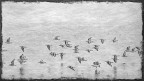 Un volo pieno di insidie