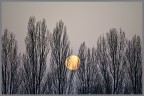 Pale Moon Fading Pale Moon Fading