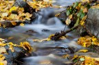 Autunno Autunno