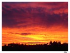 Il buongiorno si vede dal mattino Il buongiorno si vede dal mattino