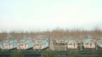 Villaggio Barricata presso Bonelli, delta del Po