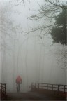 Percorsi di nebbia... Percorsi di nebbia...