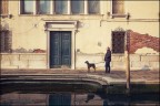 A spasso con il cane A spasso con il cane