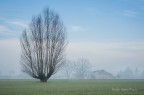 paesaggio paesaggio