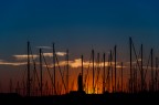 Notte d'incanto Notte d'incanto