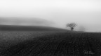 Autumn (the w/b side of the...) Autumn (the w/b side of the...)