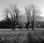 Hasselblad 500 c/m 
Distagon 50 f11 
Kodak Tmax400 
HC-110 - 5,30 min - 24�C