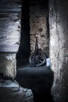 L'ultima ruota del carro L'ultima ruota del carro