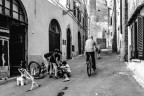 Apprendisti "biciclettai" Apprendisti "biciclettai"