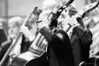 Musicanti Musicanti