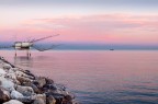 sc_6330 sc_6330