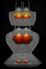 FIGURA - 7 - FIGURA - 7 -