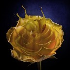 Tuffo nel giallo